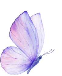 Butterfly - Adults - Home