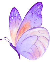 Butterfly - Home - Educators